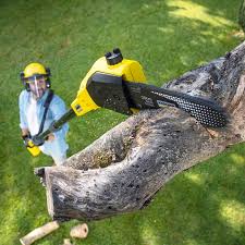 Best Soil Testing and Treatment  in West Rson, CA