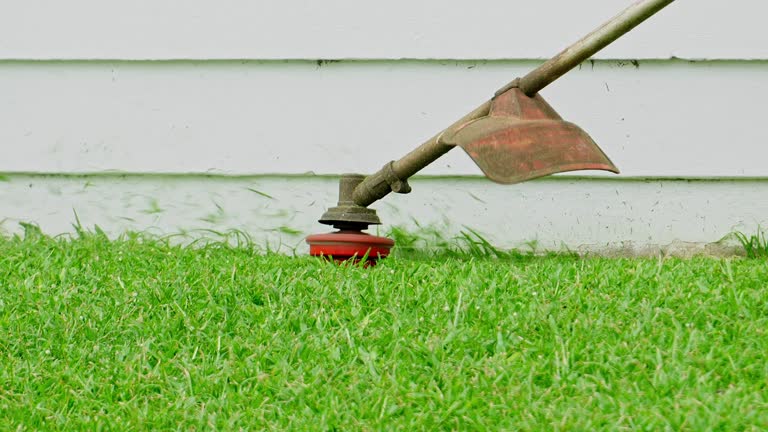 Best Lawn Renovation and Restoration  in West Rson, CA